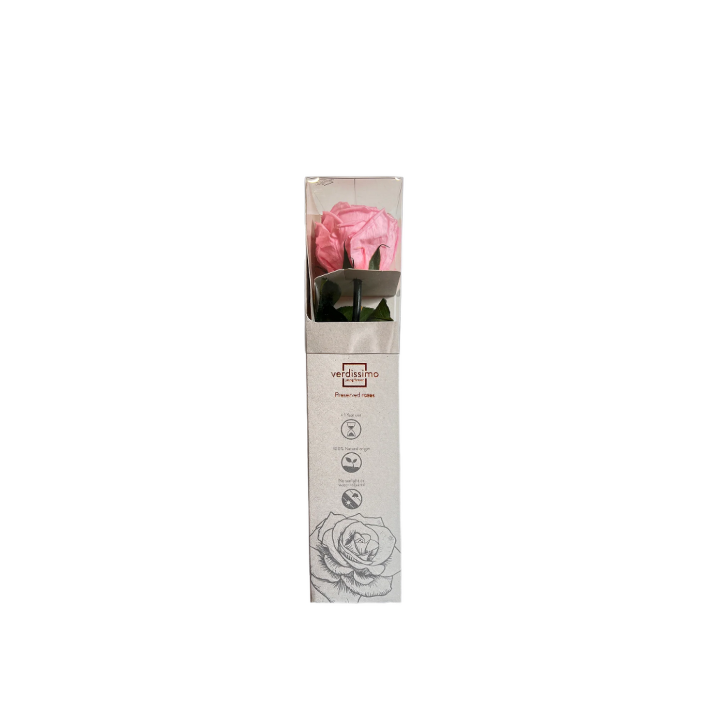 Pink garden rose mini in a gift box
