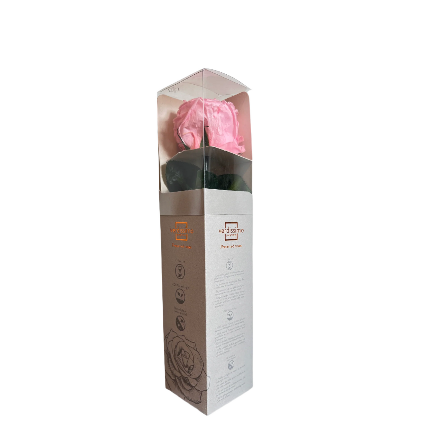 Pink garden rose mini in a gift box