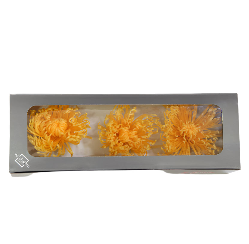 Three warm yellow anastasia heads in a box