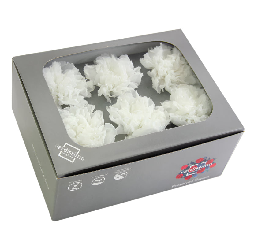 Box with six white carnations without stems