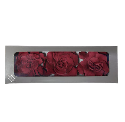 Cranberry gardenia head in a box