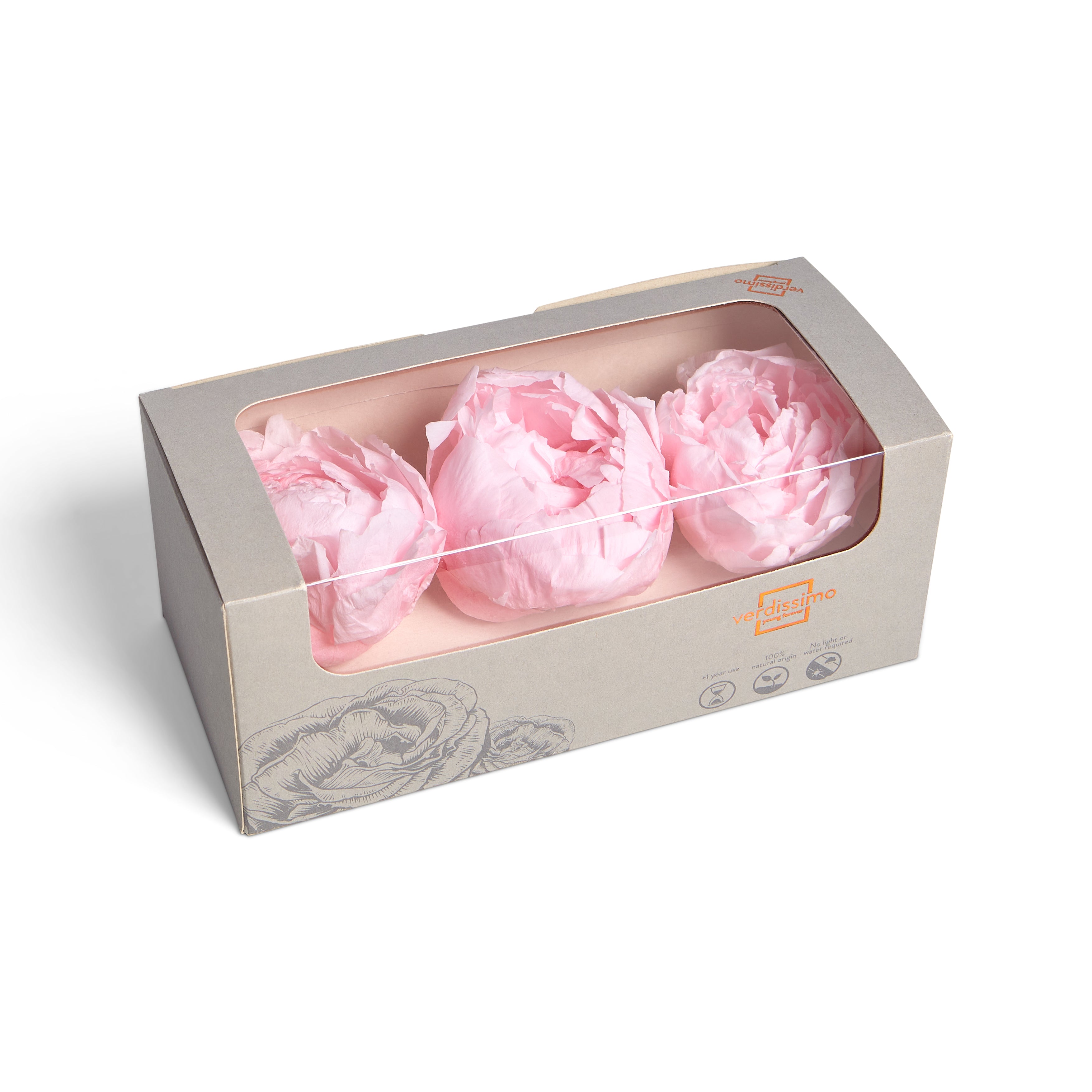 Three pastel pink peony heads in a box