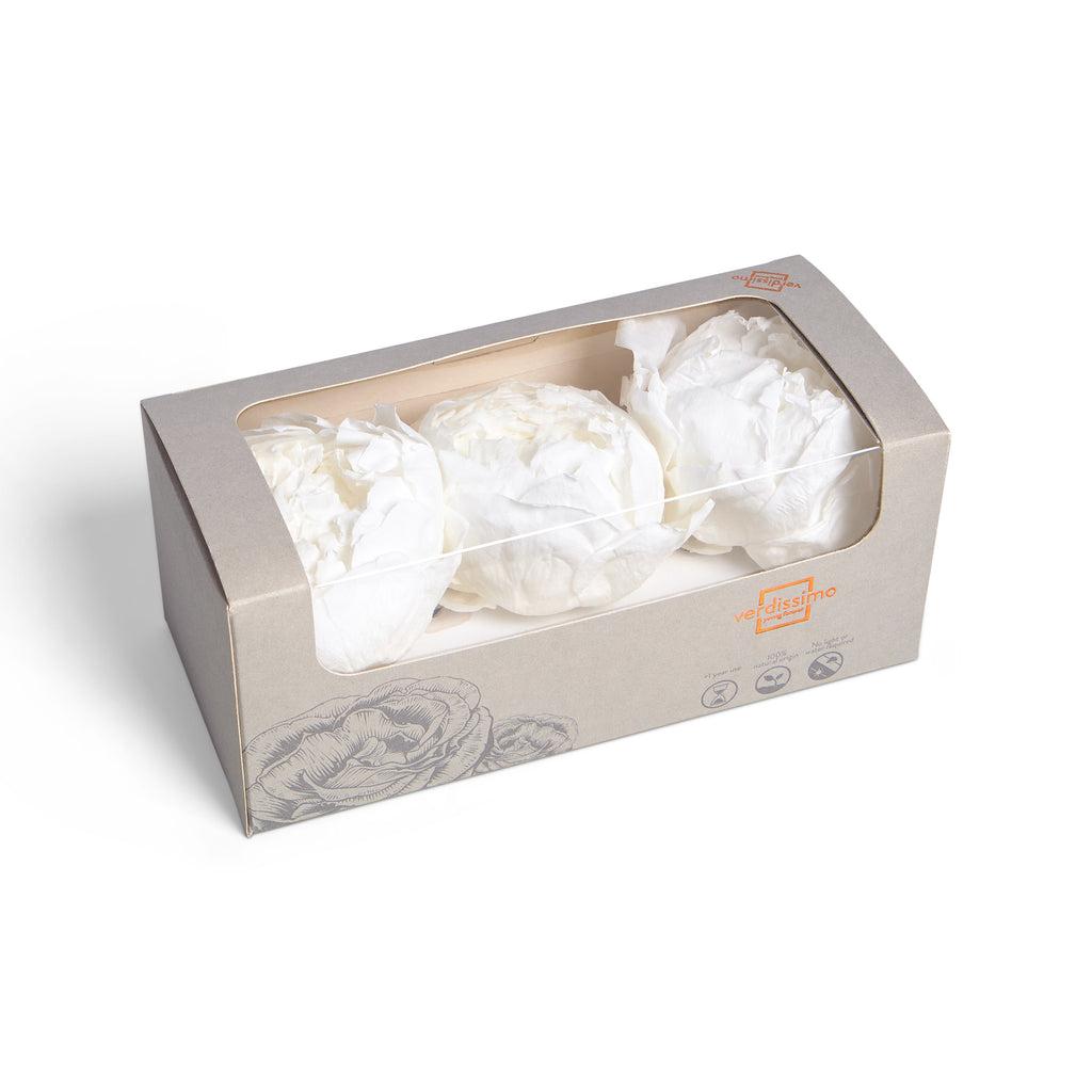 Three white peony heads in a box