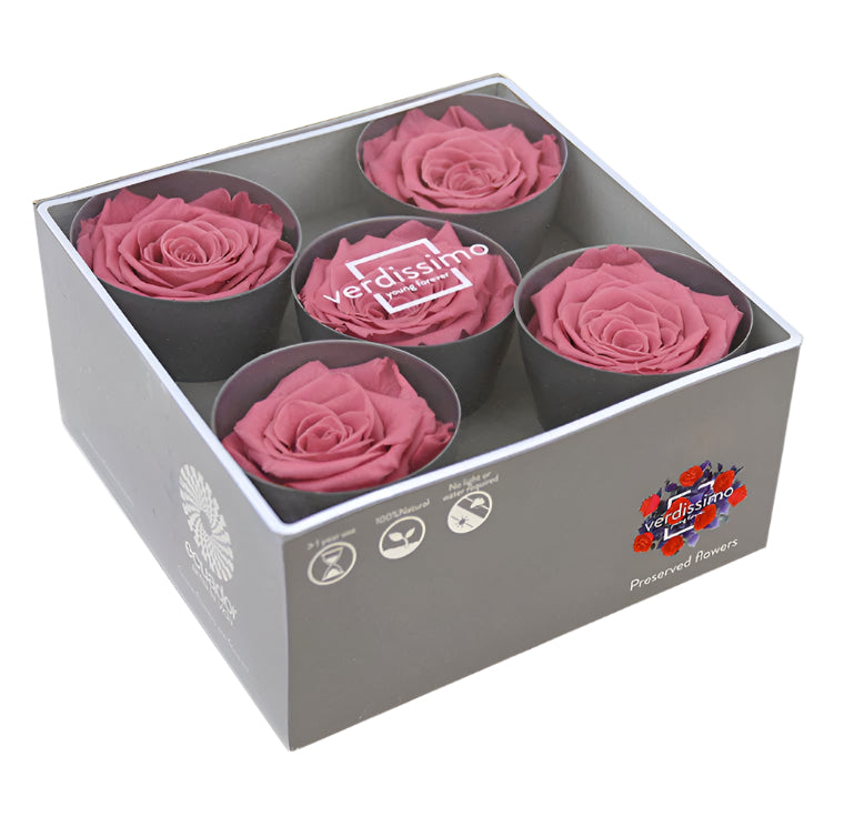 Five cherry vintage queen rose heads in a box