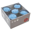 Five light blue queen rose heads in a box
