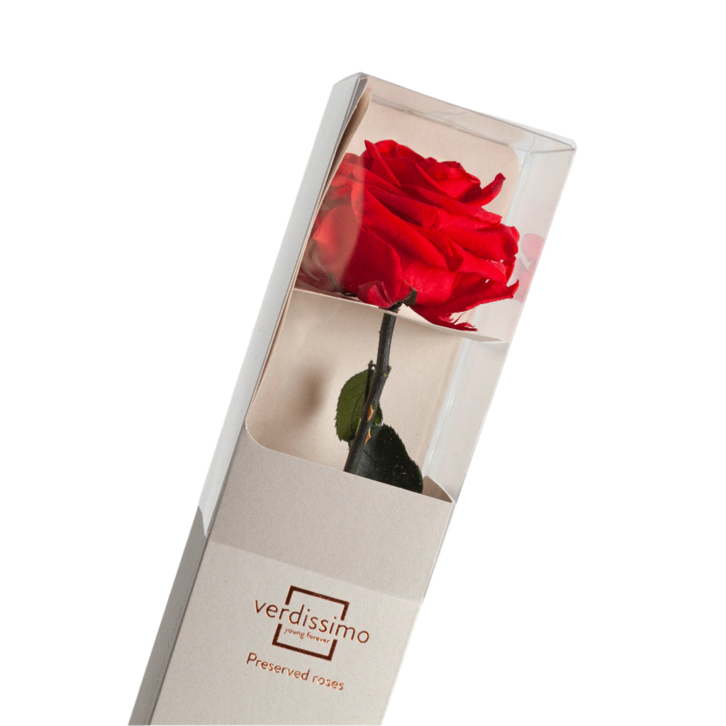 Premium red rose with stem in a gift box