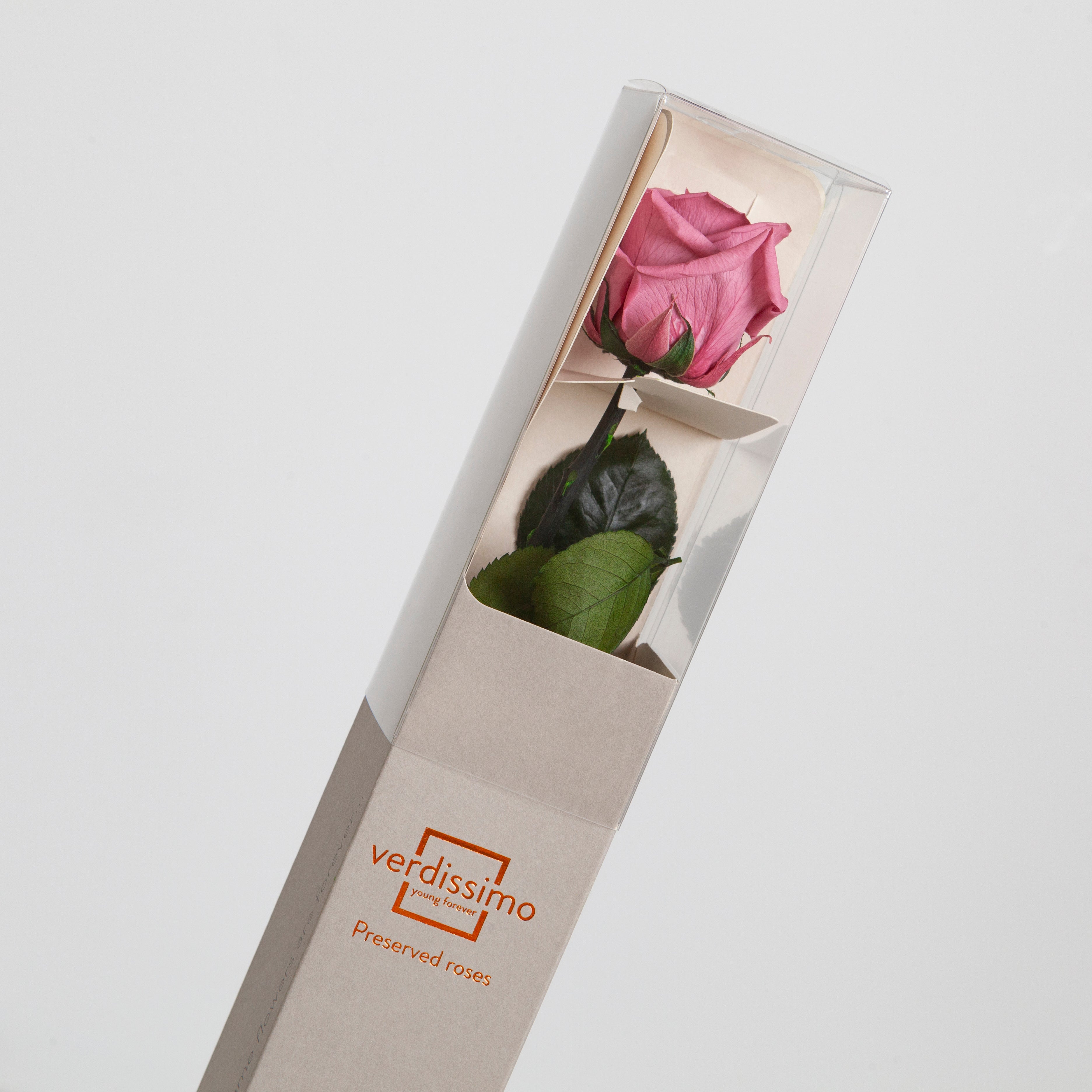 Cherry vintage rose with stem in a gift box