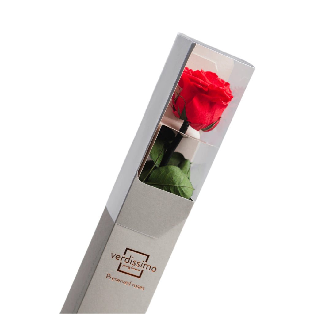 Red rose with stem in a gift box